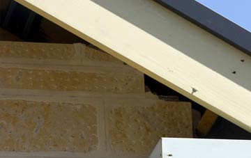 soffit repair Neyland